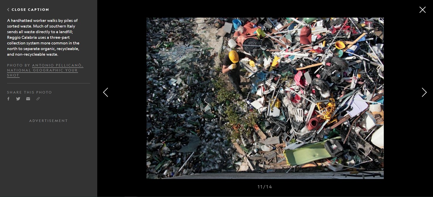 Pellicano.NATIONAL GEOGRAPHIC10