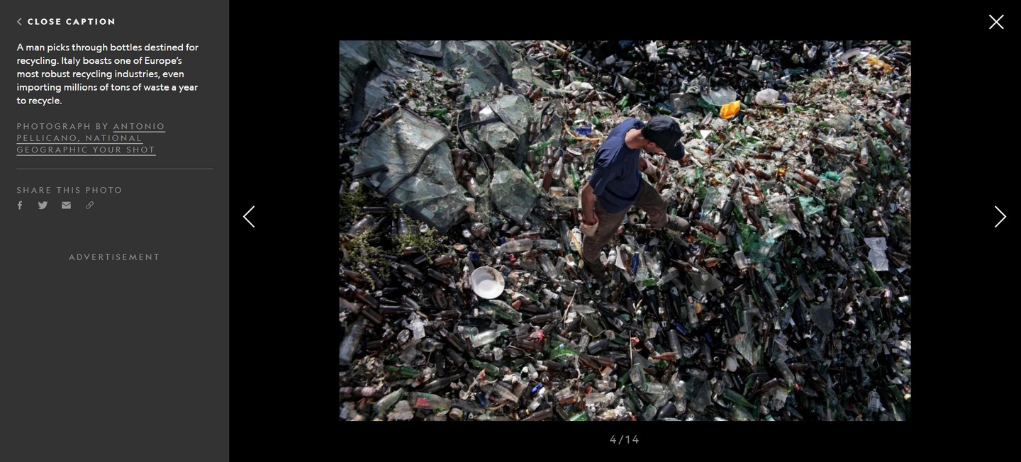 Pellicano.NATIONAL GEOGRAPHIC3